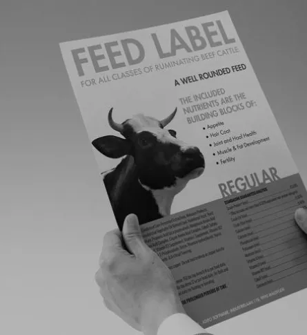 labeling