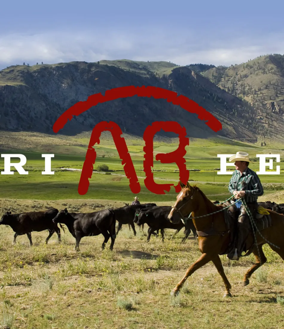 agri_beef_cover_foto