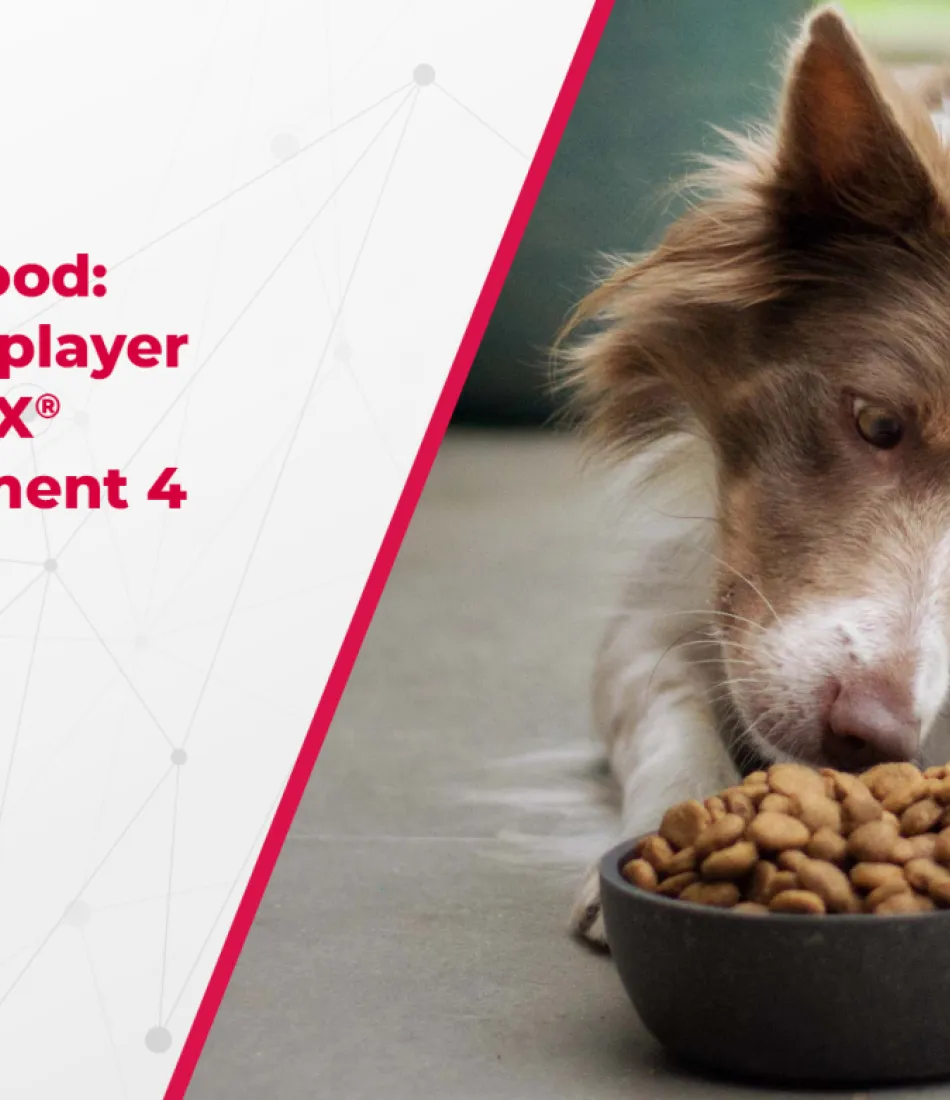  reference_case_partner_in_pet_food_copy.png 