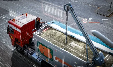 Feed efficiency